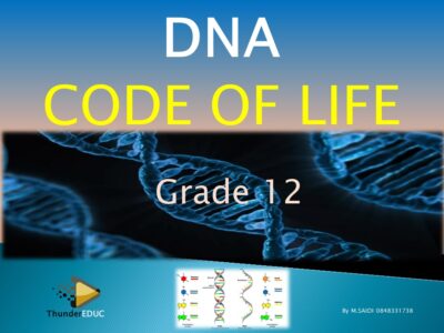 DNA CODE OF LIFE: