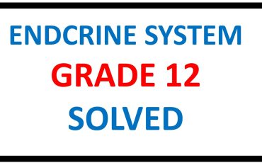 ENDOCRINE-SYSTEM-GRADE-12-LIFE-SCIENCES.jp