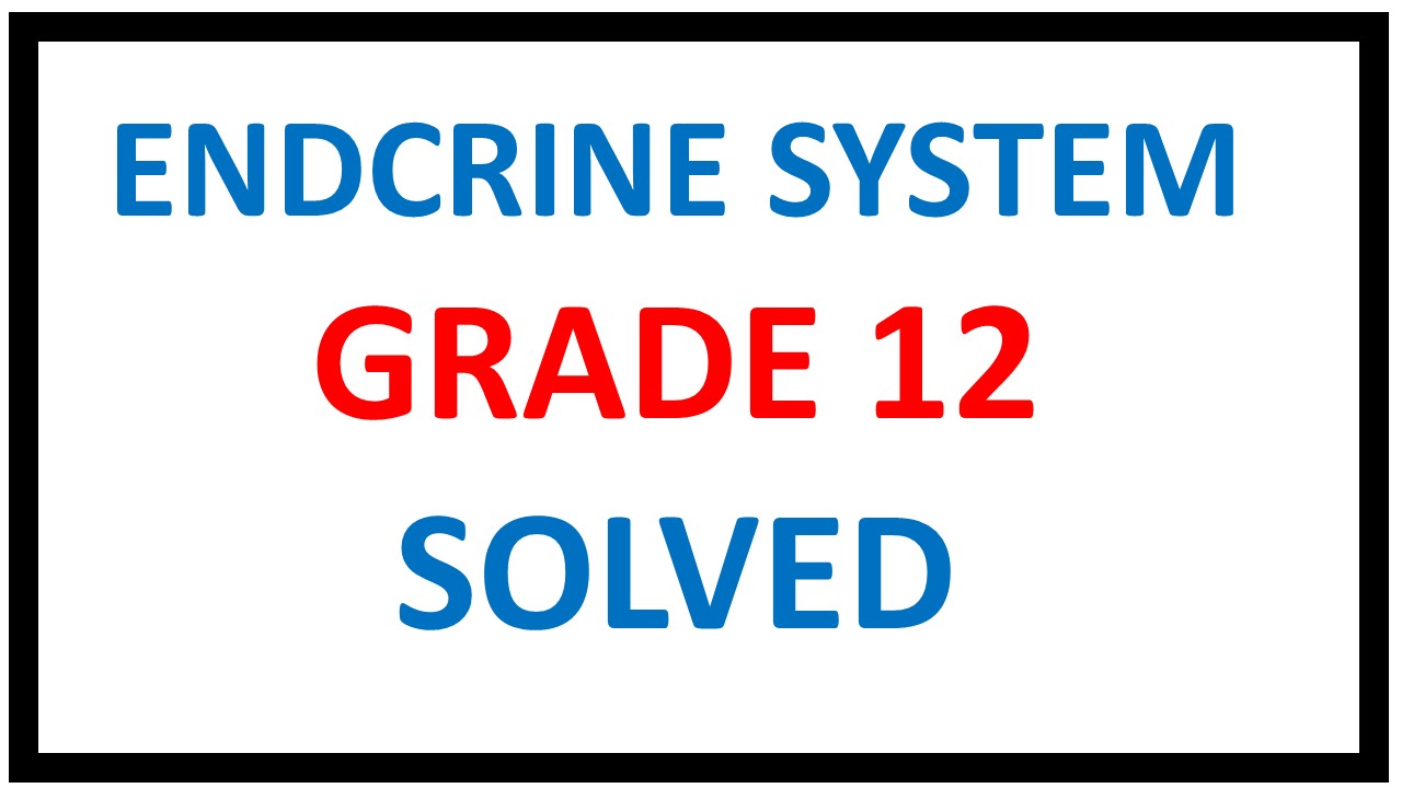 ENDOCRINE-SYSTEM-GRADE-12-LIFE-SCIENCES.jp